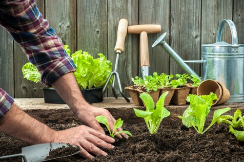 Local garden makeover service for residential and commercial spaces in Aldgate