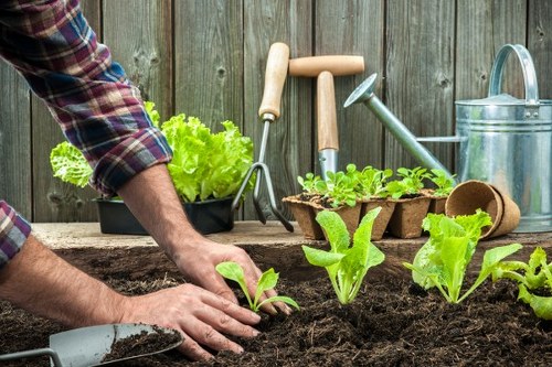 Workers following safe landscaping practices with tools and protective equipment