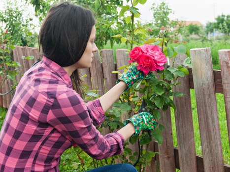 Maintained landscaping equipment ready for safe use